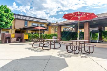 Bbq and picnic area